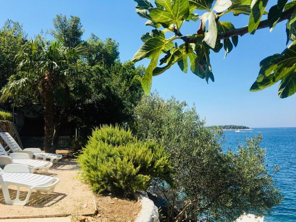 Premium Oaza Daire Primošten Dış mekan fotoğraf